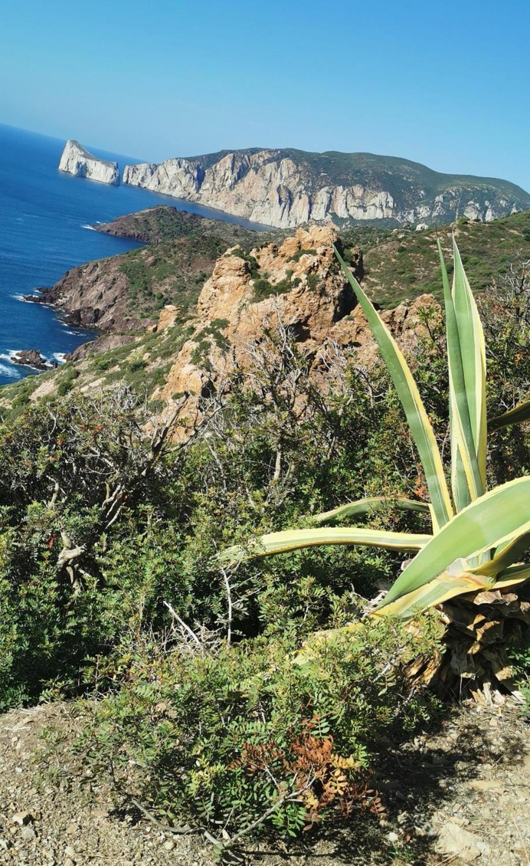 Vila La Mariposa Iglesias Exteriér fotografie
